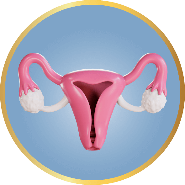 Imagem destaque Histeroscopia OncoGin